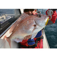 ハヤブサ HB FS426-60-5 TG ミドキン 1個（直送品）