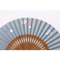 ひしだ SB-25 P透 朝顔 水 小田巻有6.5 1本（直送品）