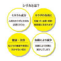 【桐箱入りギフトカード】御中元熨斗　ミライズ MIRAIZ ナチュラルミネラルウォーター 500ml 48本　専用紙袋付き（直送品）