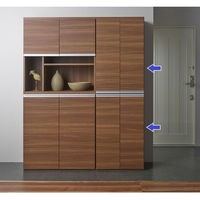 フナモコ エントランスファニチャー 幅603×奥388×高956mm リアルウォールナット ECD-60L 1台（直送品）