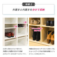 ネットフォース シューズラック 靴箱 3列3段 9人用 ブラウン NF-SR0909-9-AW 1台（直送品）