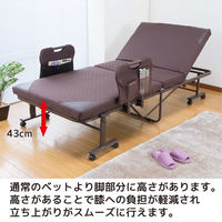 【軒先渡し】Sunharvest 手すり付き折りたたみベッド 完成品 ブラウン TS-100 BR 1台（直送品）