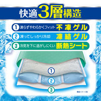 アイスノンソフト ＜長時間＞ 白元アース 1セット(3個) 氷枕 アイスまくら 冷却用品 発熱 睡眠 保冷 ひんやりグッズ