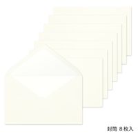 デザインフィル MD封筒 横型A 二重封筒 8枚入 20584006 1セット(1個×2)