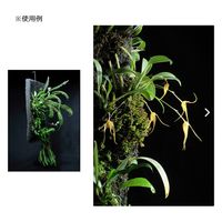 アクア・テイラーズ EPIWEB Panels 44×44×2cm エピウェブ パルダリウム テラリウム ビバリウム 230924 1個（直送品）