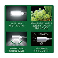 ジェックス GEX CLEAR LED Pittera 239242 1個（直送品）