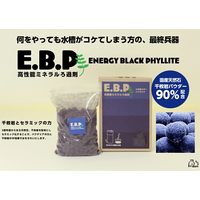 礼恩 REON AQUA E.B.P 250ml エナジー・ブラック・フェライト 261812 1個（直送品）