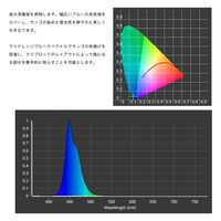 ZOOX LED RAYS スーパーブルー 20W 265813 1個（直送品）