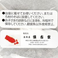 金魚屋 懐古堂 スポンジBC 3P付きろ材 スポンジフィルターオプションパーツ 267096 1個（直送品）