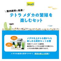 テトラ メダカの繁殖を楽しむセット L 269942 1セット（直送品）