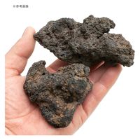 太平洋セメント パワーハウス 特選溶岩石 270484 1個（直送品）