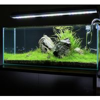 チャーム ガラス水槽 アクロ90スリム 90×30×36cm 90cm水槽 243929 1個（直送品）