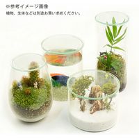 JUN J.GREEN Jーポット ロング 266496 1個（直送品）