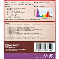 ボルクスジャパン Grassy LeDio RX072e Sunset 255365 1個（直送品）