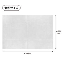 昭和紙工 昭和紙工ノンアルコールウエットティッシュ大判タイプ 4957434009221 1個(20枚)