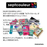 マルマン プラスチックバインダー A4 30穴 背幅19mm パープル F481B-10 1冊