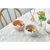 アイトー #0113508 カレット ペアボウル 1組（直送品）