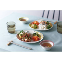 アイトー #0262050 トキメキ色 プレート プラム 1枚（直送品）