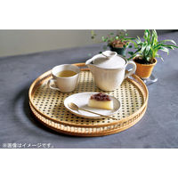 アイトー #0288506 景 卯の花 ポット 1個（直送品）