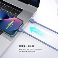 デジフォース DF D0076CG Cライトニング 2m チャコールグレー 1本（直送品）