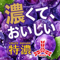 アサヒ飲料 三ツ矢特濃グレープスカッシュ 500ml 1セット（48本）