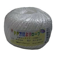 エスコ 3.0mmx100m PPロープ(溶着なし/白) EA628PR-35 1セット(10個)（直送品）