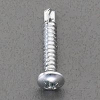 エスコ 6x19mm 鍋頭ピアスビス(三価クロメート/ 35本) EA949EP-619N 1セット(350本:35本×10パック)（直送品）