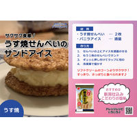 新潟仕込み塩味 1セット（3個）