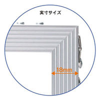 アルテ デカフレ　Ａ０　シルバー IW-A0-SV 1枚