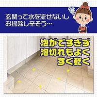 リンレイ 玄関ベランダ専用 洗剤 1L 4903339752212 1個