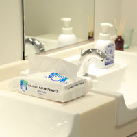 アスト アーネストペーパータオル中判200枚 111791 1パック