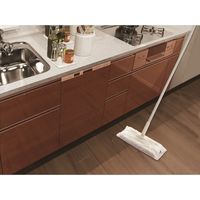 山崎産業 BARIAN(バリアン) 油汚れ除去清掃ウェットシート(除菌・ウイルス除去) 4903180196081 1袋