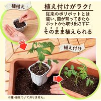 コモライフ 土に還る園芸ポット 391478 1個(30個)