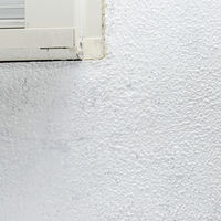 外まわり洗い 300mL 屋外 玄関 ベランダ 汚れ落し 洗剤 掃除 1個 日本ミラコン産業