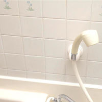 シリコンカビ取り（箱型）50g 浴室 お風呂 浴槽 ゴムパッキン 洗剤 掃除 1個 日本ミラコン産業