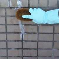 白華汚れ落し 100mL 屋外 洗剤 ブロック タイル エフロ 掃除 汚れ 1個日本ミラコン産業