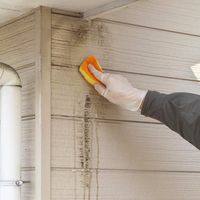 エクステリア・外カベ洗い 500mL 屋外 洗剤 外壁サイディング 掃除 1個 日本ミラコン産業