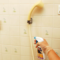 カビ・でないスプレー 500mL 防カビ シックハウス 押入れ お風呂 洗面所 1セット（3個） 日本ミラコン産業