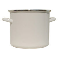 ホーロークリーン 100mL サビ くもりクリーナー 油汚れ 洗剤 掃除 汚れ 1セット（3個） 日本ミラコン産業