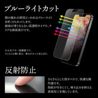 iPhone 14/13/13 Pro ガラスフィルム「GOD GLASS 超凰神」 練磨 全画面保護 反射防止・ブルーライトカット（直送品）