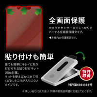 MSソリューションズ iPhone14Plus/13ProMax ガラスフィルム 全画面 マット LN-IA22FGMS 1個