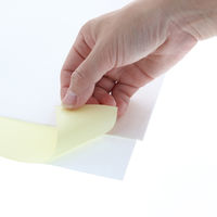 シモジマ HEIKO 宅配袋（紙製） 白 SS 封かんシール付 1パック（25枚入） 004192396