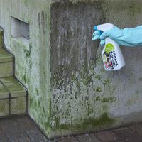 エクステリア 藻・コケ・カビ落し 500mL 1セット（3個） 日本ミラコン産業