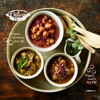 ダルーラ デミグラストマト 3個 ロート製薬