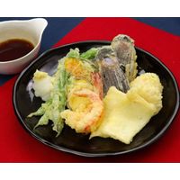 日清 天ぷら粉＜チャック付＞ 500g 1セット（3個） 日清製粉ウェルナ