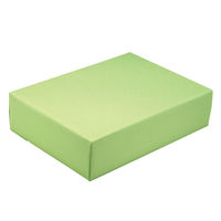 ササガワ 包装紙 ペールライム 半才判 49-1208 1包(50枚袋入)