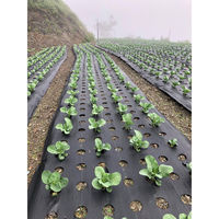 セーフラン安全用品 防草シート 幅1.2x50m 黒 TW007-120 1巻（直送品）