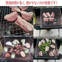 トライソリューションズ ヤシガラ炭（PKS） TR-CC-01 1個（直送品）