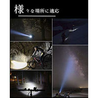 PEETPEN LEDフラッシュライト 1000lm IP68 C60 1個（直送品）