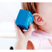 Hape　マルチミュージカルボックス　知育玩具　E0336A　1個